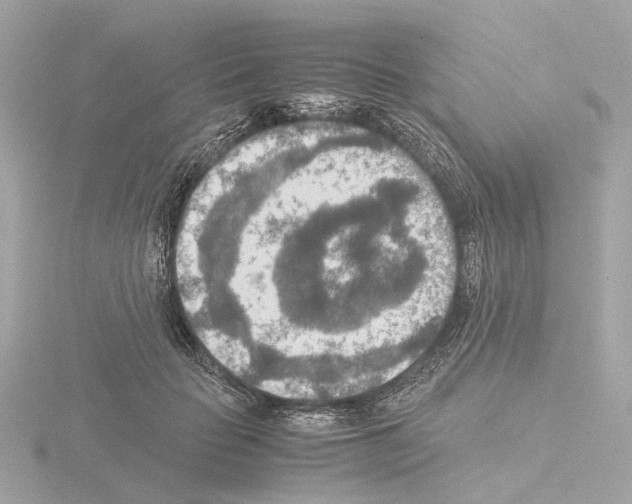 X0000115580653200912221050