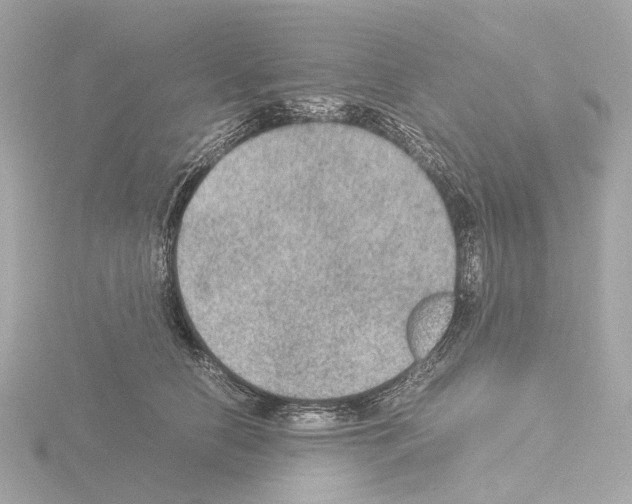 X0000115580658200912221050