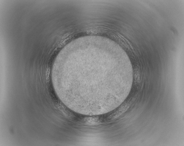 X0000115580660200912221050