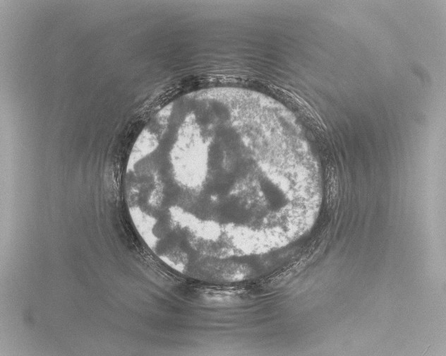 X0000115580661200912221050