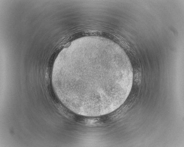 X0000115580662200912221050