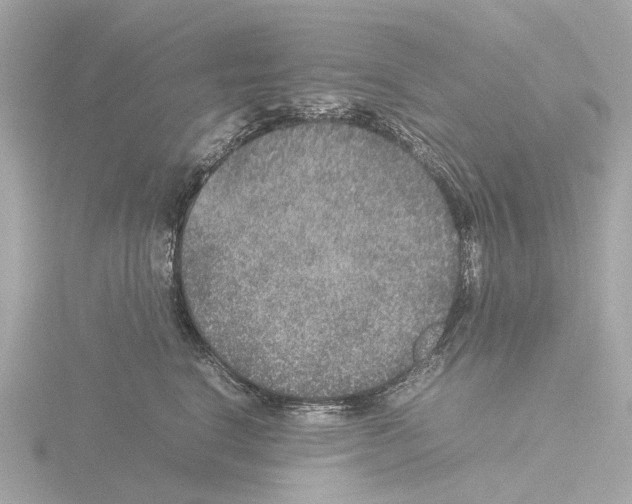 X0000115580664200912221050