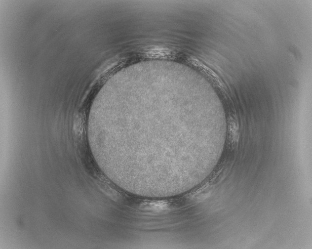 X0000115580665200912221050