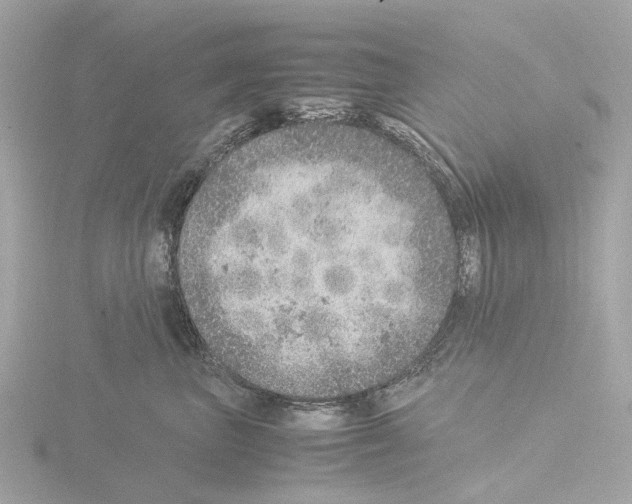 X0000115580667200912221050