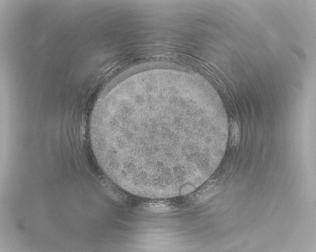 X0000115580668200912221050