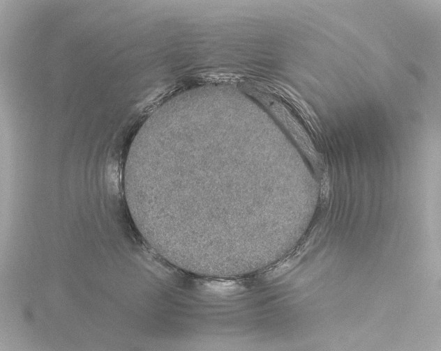 X0000115580669200912221050