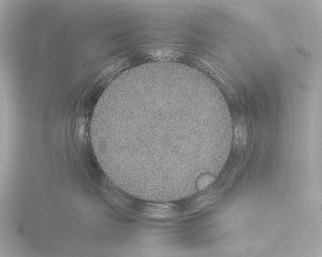 X0000115580671200912221050