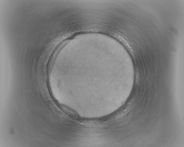 X0000115580673200912221049