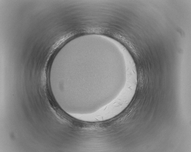 X0000115580674200912221049