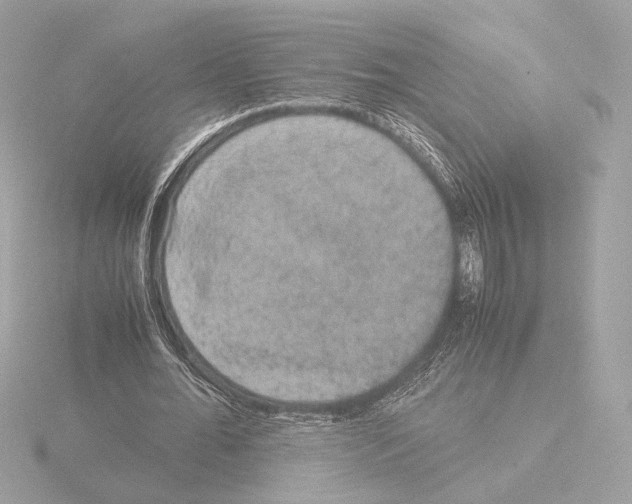 X0000115580676200912221049