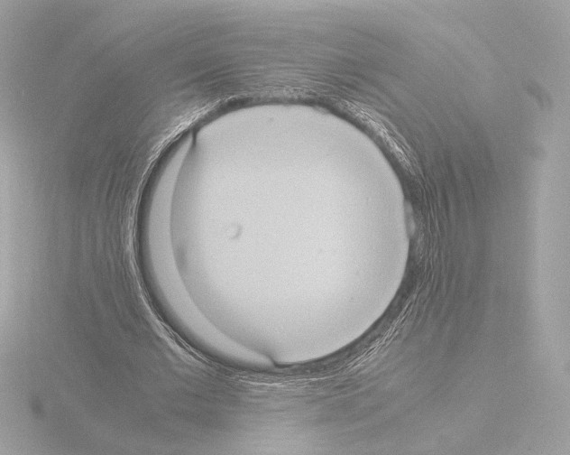 X0000115580677200912221049