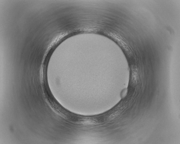 X0000115580678200912221049