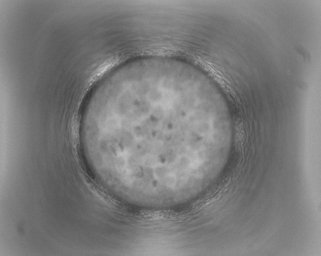 X0000115580679200912221049