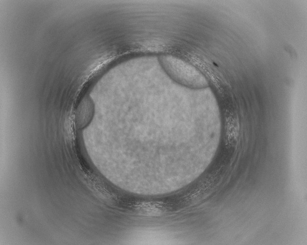 X0000115580680200912221049