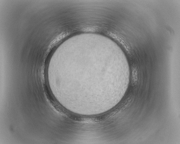 X0000115580682200912221049