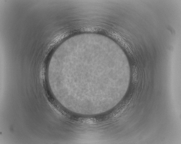 X0000115580683200912221049