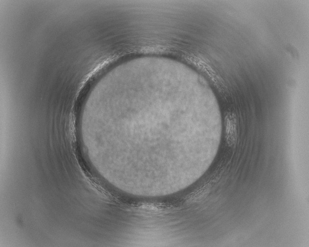 X0000115580684200912221049