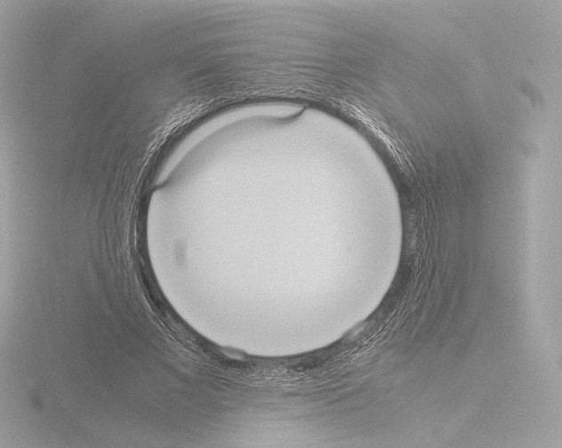 X0000115580685200912221049