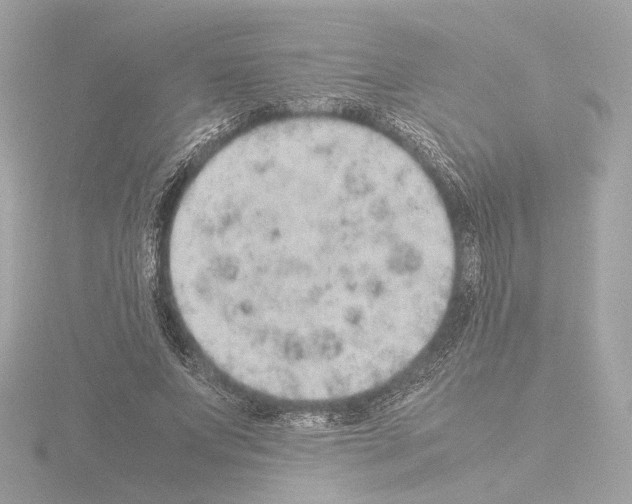 X0000115580687200912221049