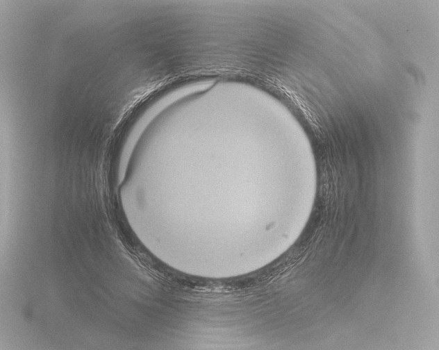 X0000115580688200912221049