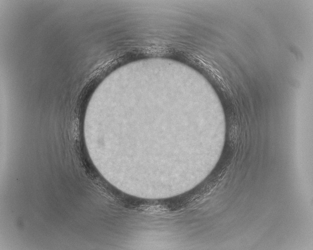 X0000115580689200912221049