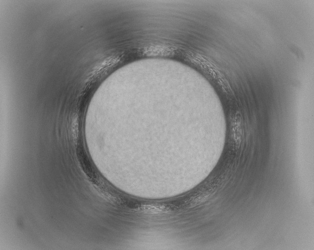 X0000115580690200912221049