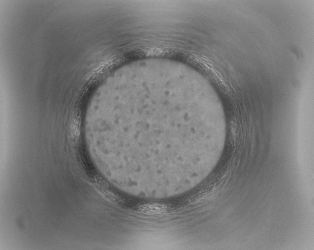 X0000115580691200912221049