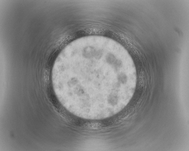 X0000115580695200912221049