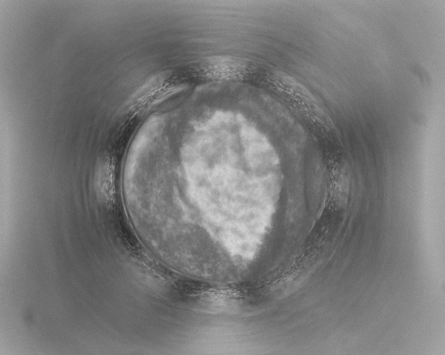 X0000115580696200912221049