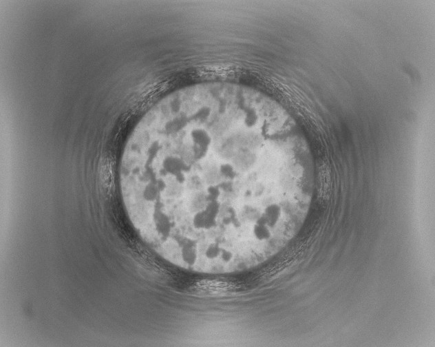 X0000115580699200912221049