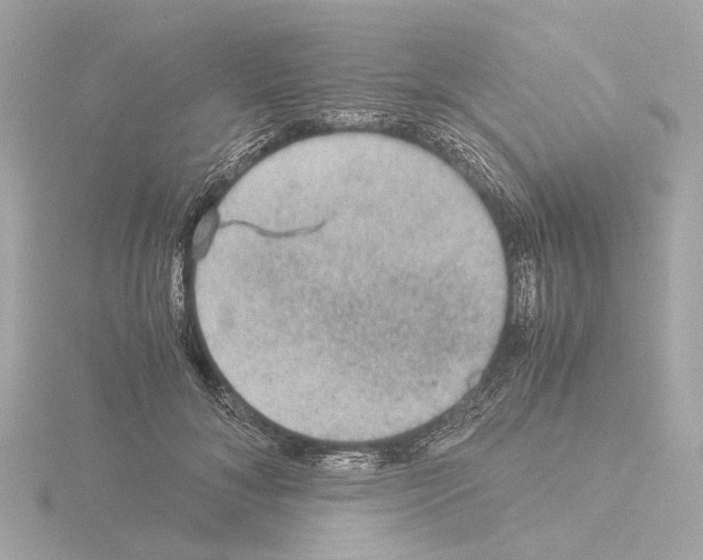 X0000115580700200912221049