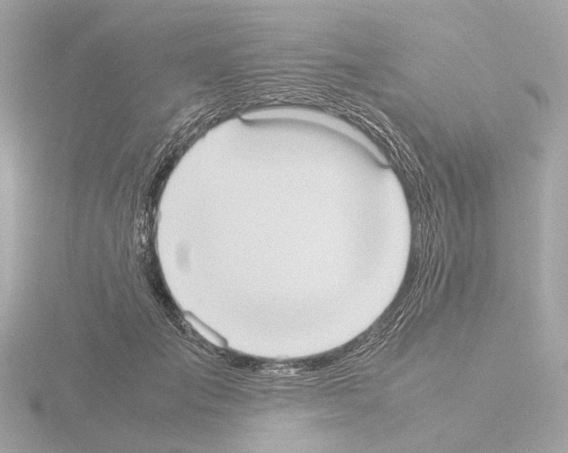 X0000115580701200912221049