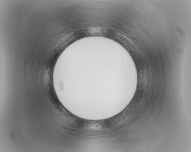 X0000115580702200912221049