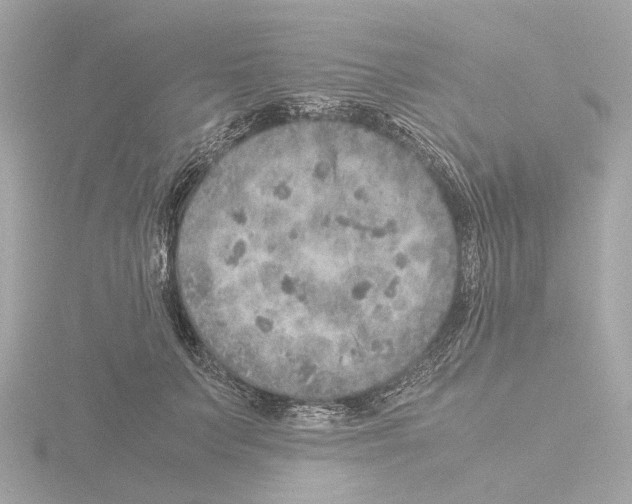 X0000115580703200912221049