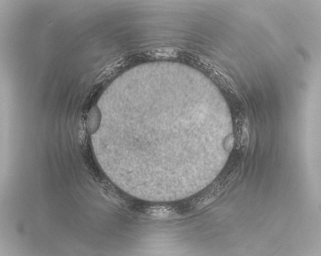 X0000115580704200912221049