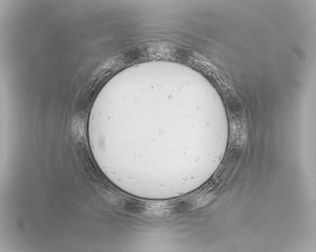 X0000115580705200912221049