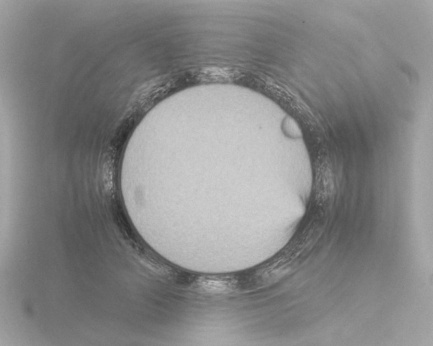 X0000115580706200912221049