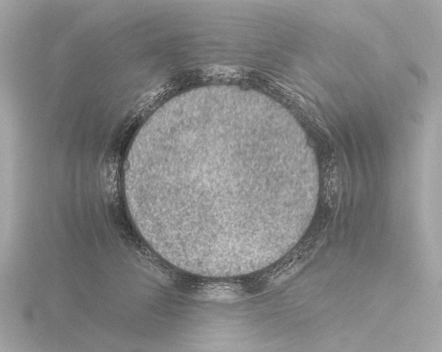 X0000115580708200912221049