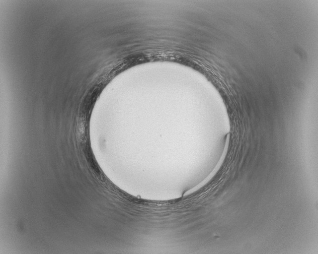 X0000115580709200912221049