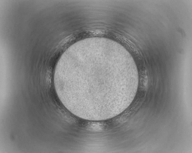 X0000115580710200912221049