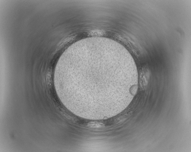 X0000115580714200912221049