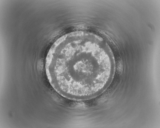 X0000115580715200912221049