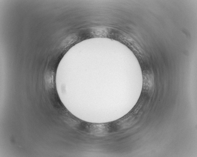 X0000115580717200912221049