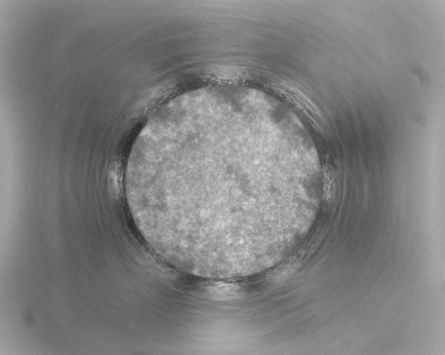 X0000115580718200912221049