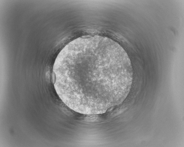 X0000115580720200912221049