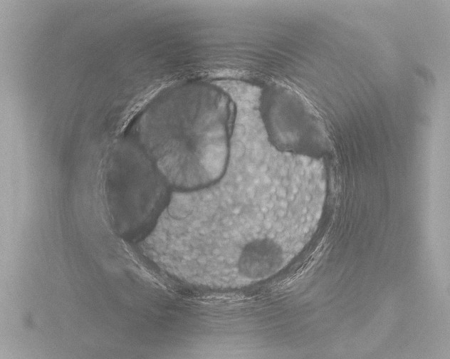 X0000115580721200912221048