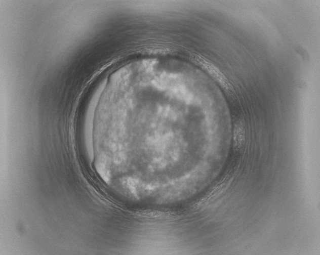 X0000115580722200912221048