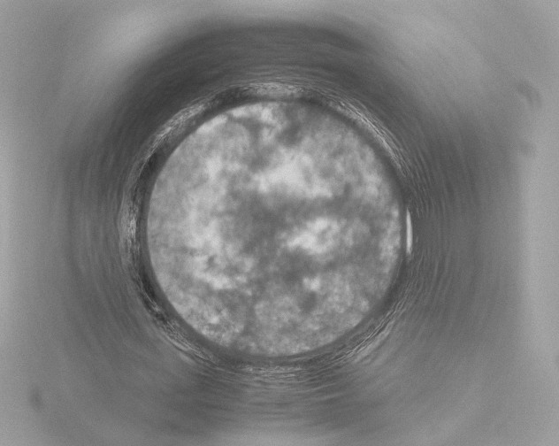 X0000115580723200912221048