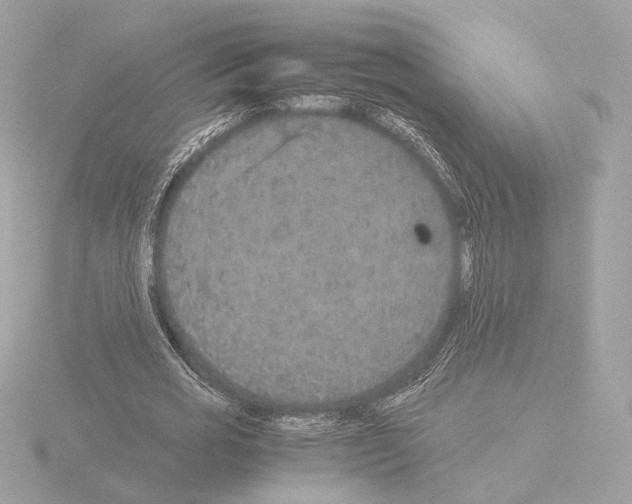 X0000115580725200912221048