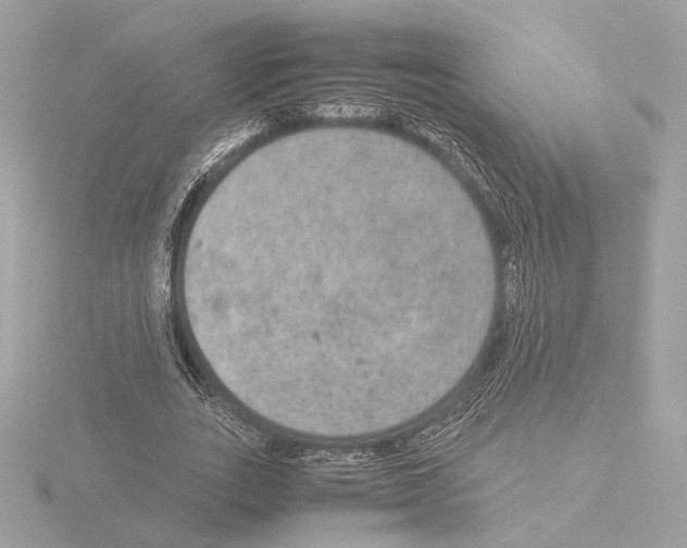 X0000115580727200912221048